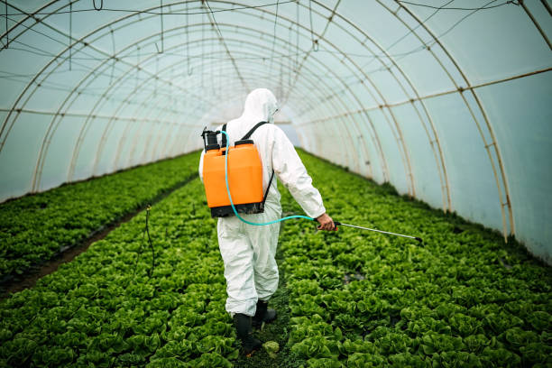 Best Pest Inspection Near Me  in Fort Valley, AZ