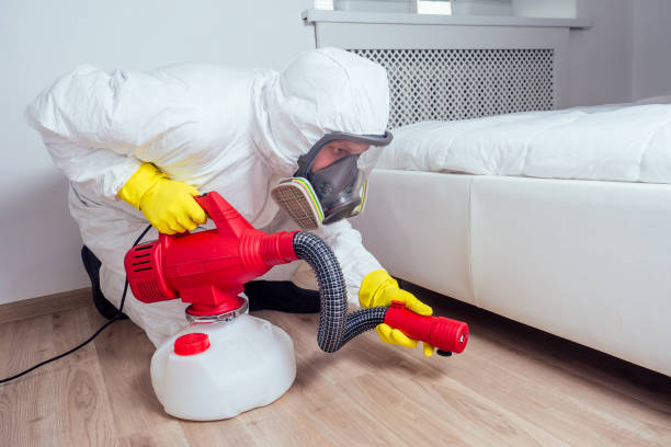 Best Flea Control Services  in Fort Valley, AZ