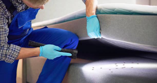Flea Control Services in Fort Valley, AZ