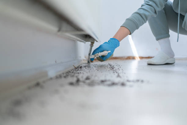 Pest Prevention Services in Fort Valley, AZ